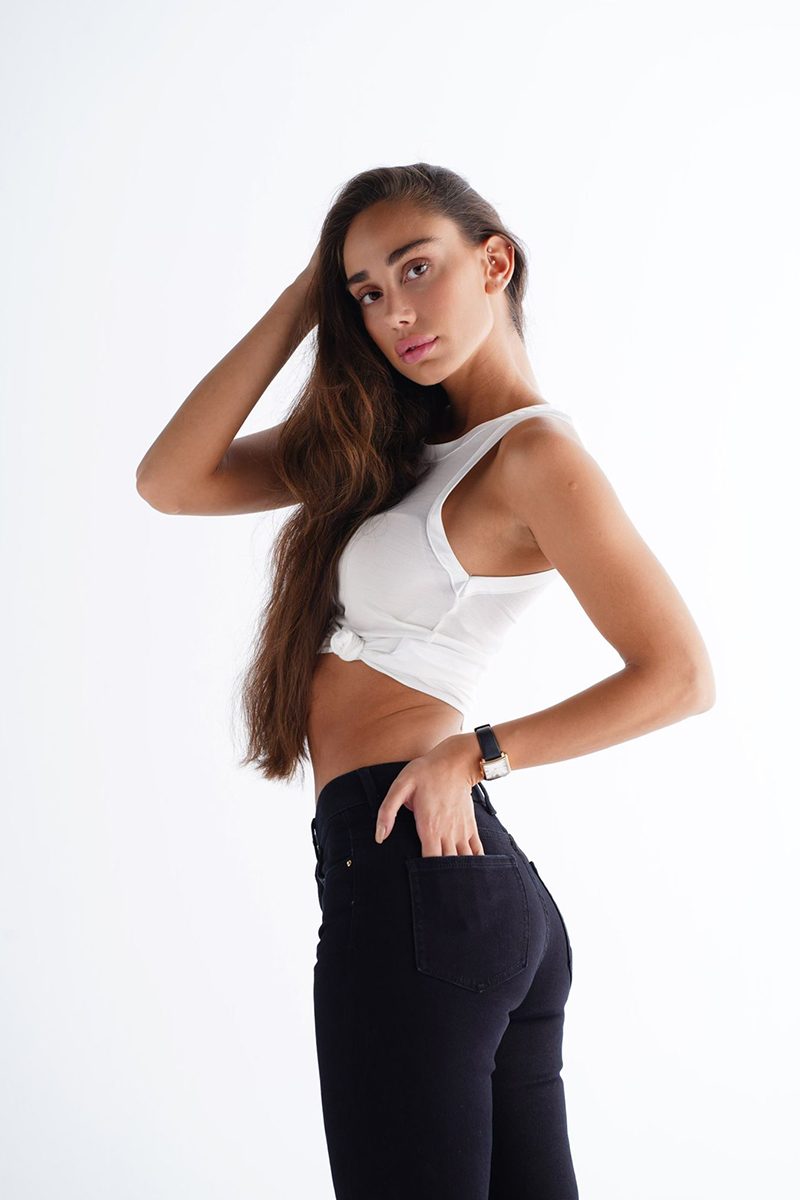 whynotmodel-feyz16