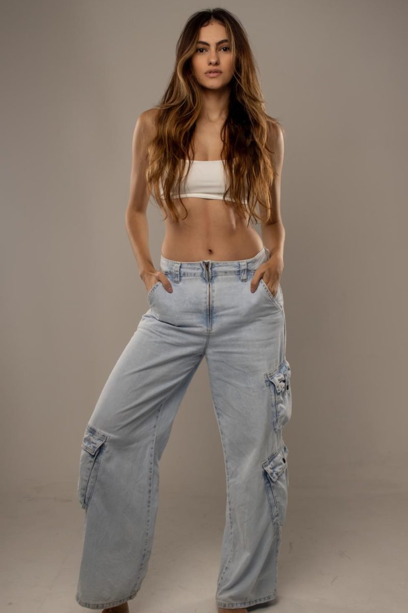 whynotmodel_laisa_8